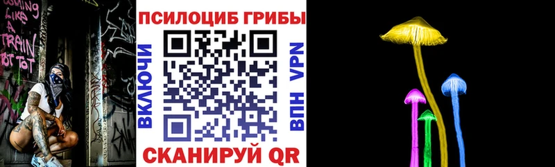 Псилоцибиновые грибы Magic Shrooms  Жердевка 